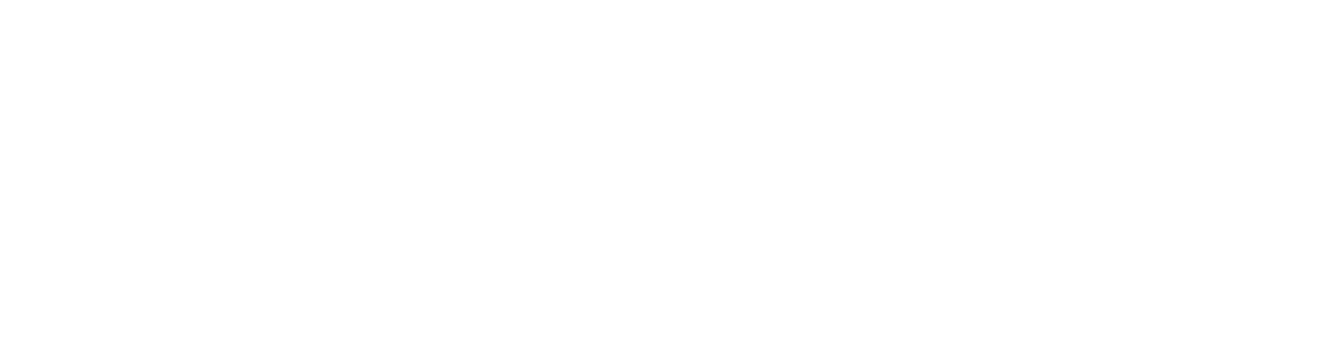 Fintech white logo